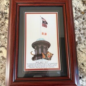 Custom Framed CLEMSON TIGERS 1981 NCAA CHAMPIONSHIP SC FLAG OVER STATE HOUSE